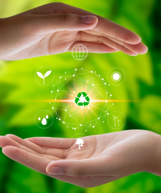 Home – perche rigenerata